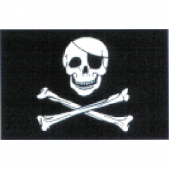 07-5004000000-skull-cross-bones-flag